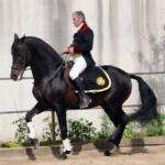 Ecuyer60