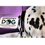 Harmonydog
