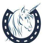 Poneyclub77