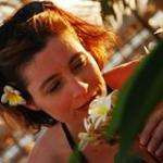 Stephanien5
