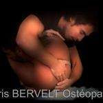 Bervelt