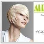 Alizecoif
