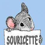 Souricetteb4