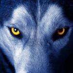 Lougree