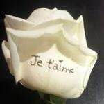 Stephaniel13