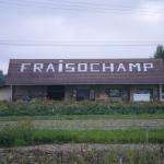 Fraisochamp