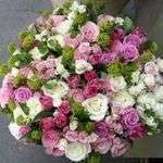Fleursfruits