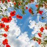 Stephanieb60