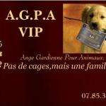 Agpa