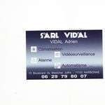 Sarlvidal