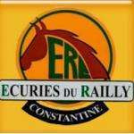 Ecuries55