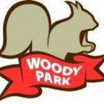Woodyp45