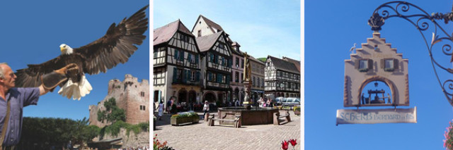 Inspiration Haut-Rhin avec Wendy35