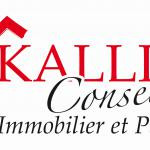Kallistecons