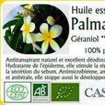 Huilesb90