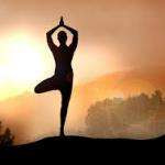 Abhinayayoga