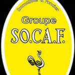 Socaf
