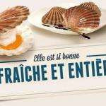 Coquilles47