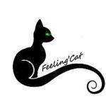 Feelingcat