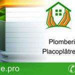 Delphinecho9