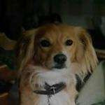Francinedeb2