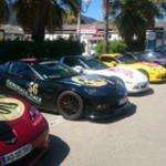 Anthonydes49