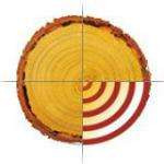 Mouenlec14
