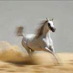 Belindavil51