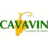 Cavavin