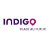 Indigo