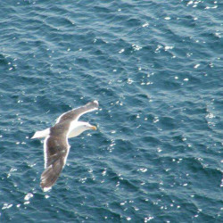 Finistère : Entre Terre et Mer