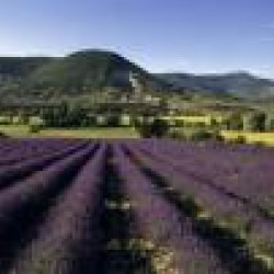 La Drôme Provençale