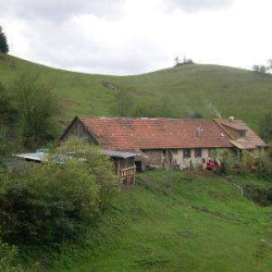 Ferme & auberges dans les Vosges
