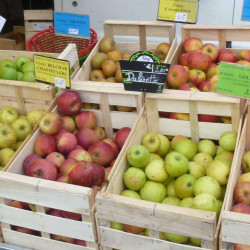 Magasins de producteurs en Rhône-Alpes