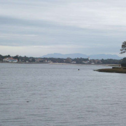Balades autour des lacs et étangs  dans le Sud-Ouest