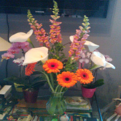 Mes Artisans Fleuristes 