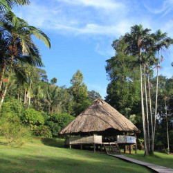 La Guyane, visite guidée