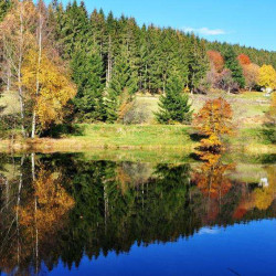 Les Vosges, entre lacs et montagnes