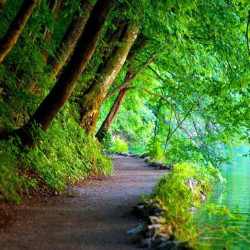 Balade Nature dans le grand Ouest