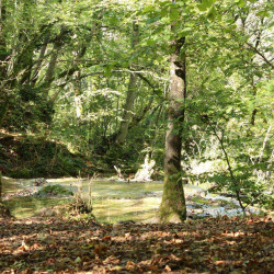 Mes lieux de loisirs préférés