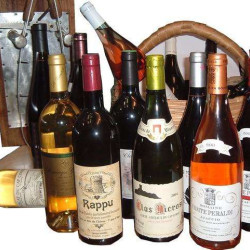 Routes des vins Corses