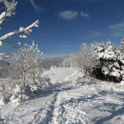 Mes plus belles randonnées dans les Alpes
