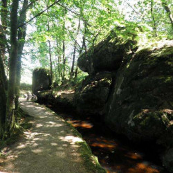 Découvrir les Monts d'Arrée et les côtes bretonnes