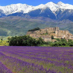 Les meilleures activités sportives en Provence