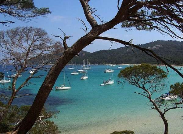ile-de-porquerolles-porquerolles