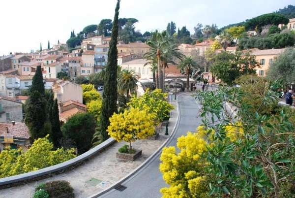 bormes-les-mimosas