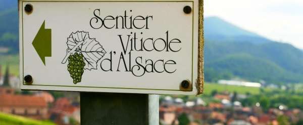 route-des-vins-d-alsace