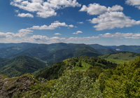 massif des Vosges 200x140