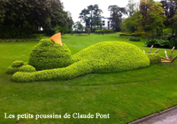 jardin botanique poitiers - Focus 200x140