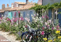 ile-d-aix
